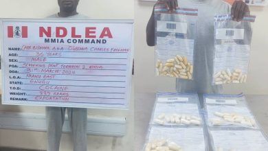 India-Bound Drug Trafficker Ogbonna Bags 25 Years Imprisonment