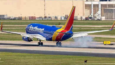 Southwest plane struck by gunfire in US